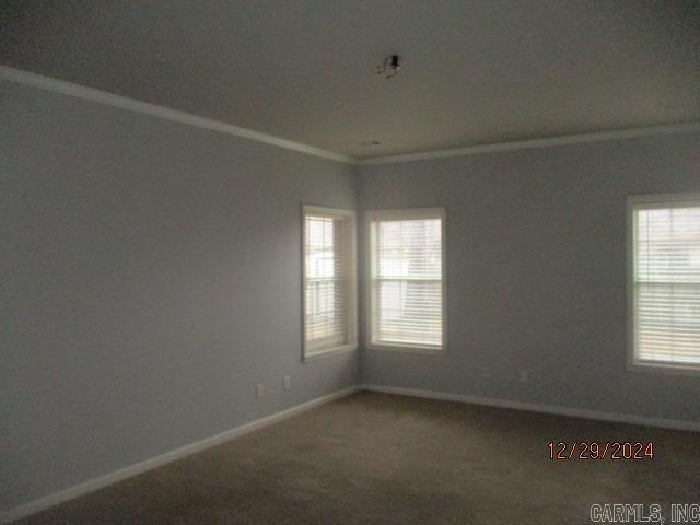 carpeted spare room featuring a wealth of natural light and ornamental molding