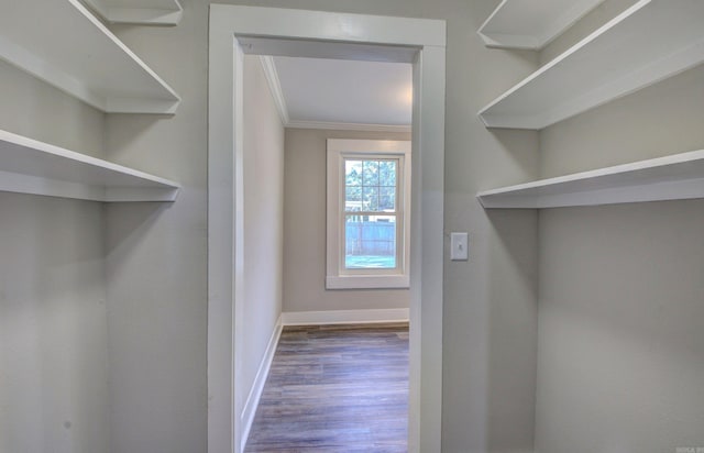 walk in closet featuring dark wood-type flooring