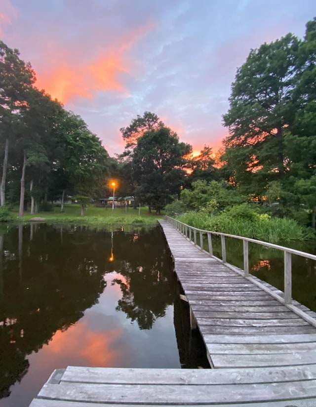 dock area featuring a water view