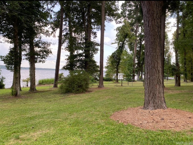 view of yard with a water view