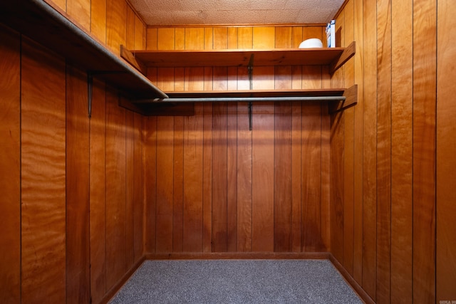 walk in closet featuring carpet