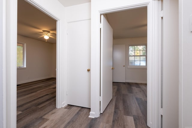 hallway with dark wood-type flooring