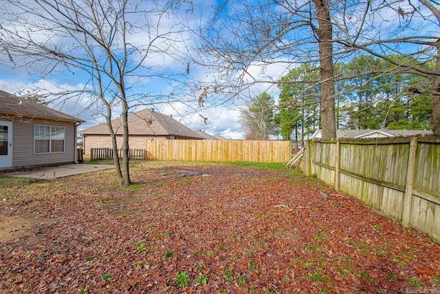 view of yard featuring a patio area