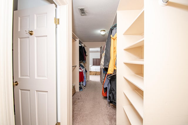 spacious closet with carpet floors