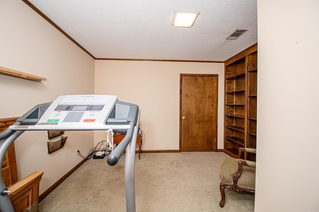 carpeted office space featuring crown molding and a textured ceiling