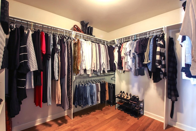 spacious closet with wood-type flooring