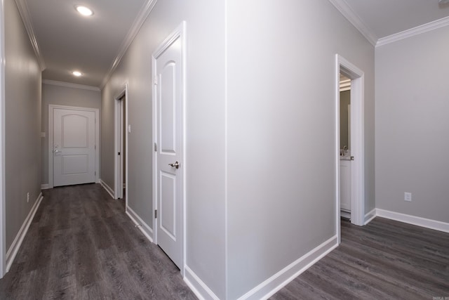 corridor featuring crown molding and dark hardwood / wood-style floors