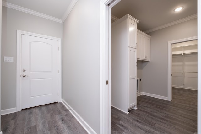 hall with crown molding and dark wood-type flooring