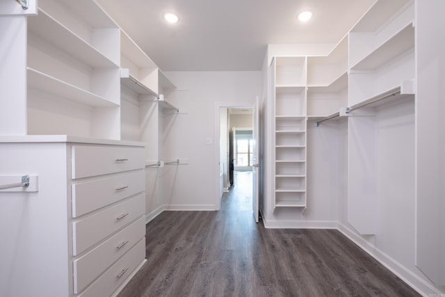 walk in closet featuring dark wood-type flooring