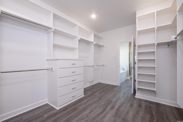 walk in closet with dark hardwood / wood-style flooring