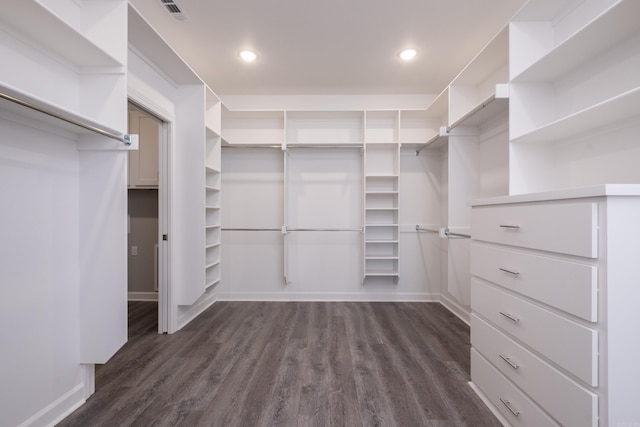 spacious closet featuring dark hardwood / wood-style floors