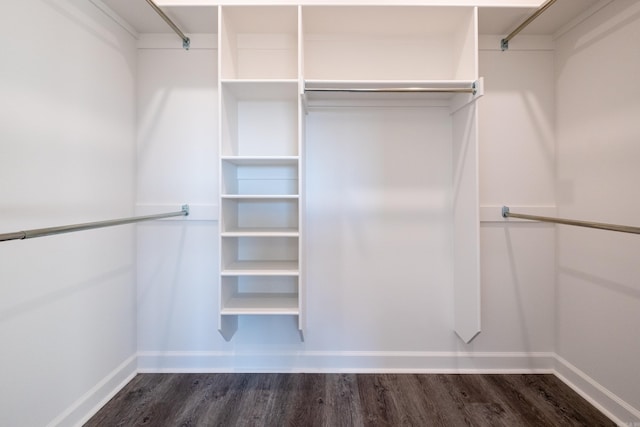 spacious closet with dark wood-type flooring