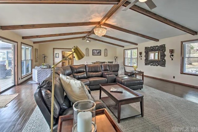 living room featuring ceiling fan with notable chandelier, lofted ceiling with beams, and dark hardwood / wood-style floors