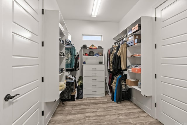 walk in closet with light wood-type flooring