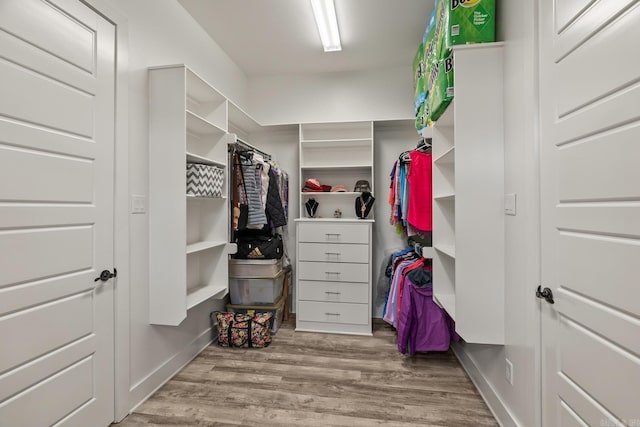 walk in closet featuring light hardwood / wood-style floors