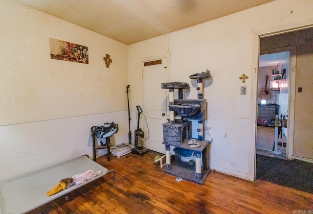 misc room with wood-type flooring