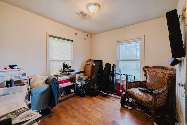 office featuring wood-type flooring