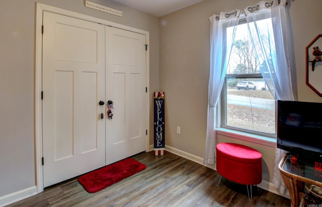 foyer featuring hardwood / wood-style floors