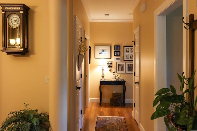 hallway featuring crown molding and light hardwood / wood-style floors