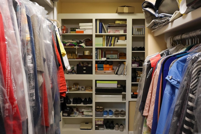 view of spacious closet