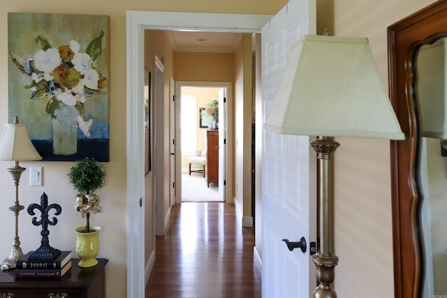 corridor featuring hardwood / wood-style flooring and crown molding