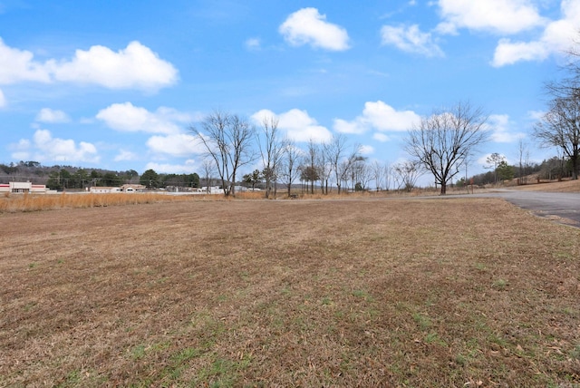 view of yard with a rural view