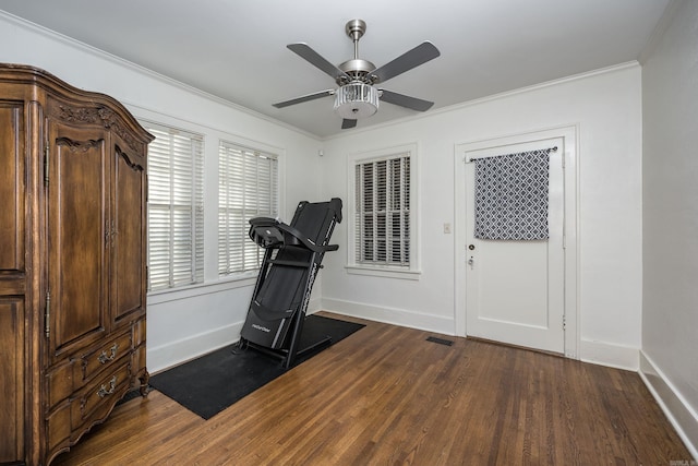 exercise room featuring ceiling fan, dark hardwood / wood-style flooring, and ornamental molding