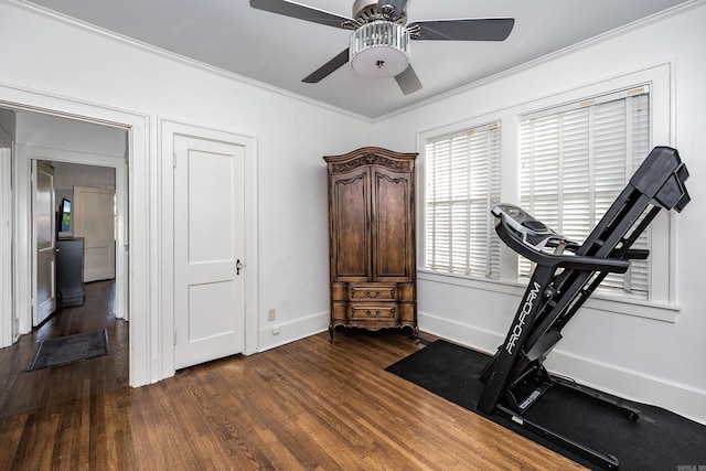 exercise room featuring crown molding, ceiling fan, and dark wood-type flooring