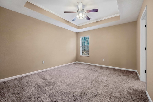 carpeted empty room with ceiling fan, a raised ceiling, and ornamental molding