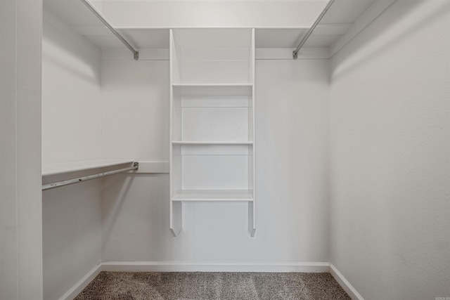 walk in closet with carpet floors