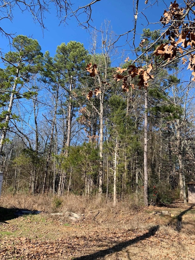 Listing photo 2 for LOT4 Thelma St, Heber Springs AR 72543