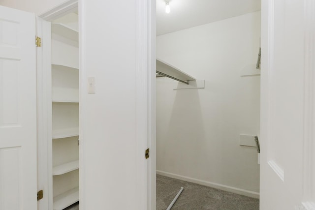 walk in closet with carpet