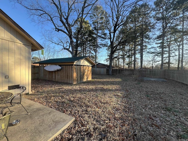 view of yard featuring a patio area and a storage shed