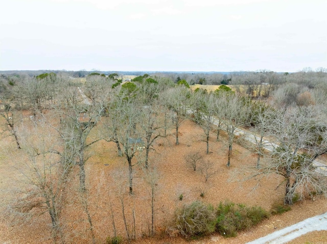 drone / aerial view with a rural view