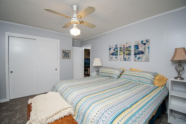 carpeted bedroom with ceiling fan, a closet, and ornamental molding