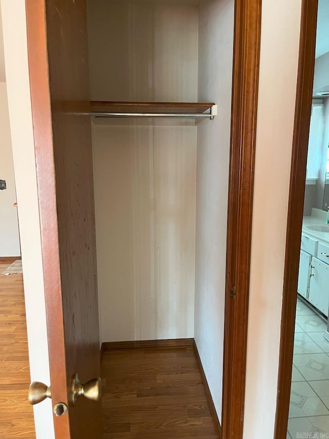 closet with sink