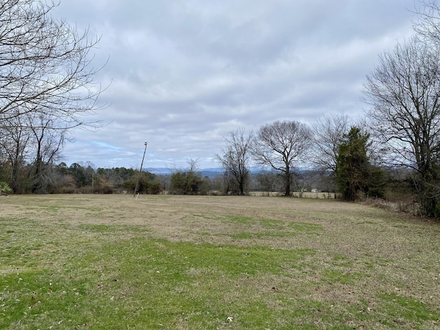 view of yard featuring a rural view