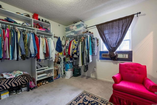 spacious closet featuring carpet flooring