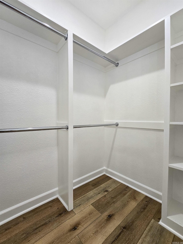 walk in closet featuring dark hardwood / wood-style floors