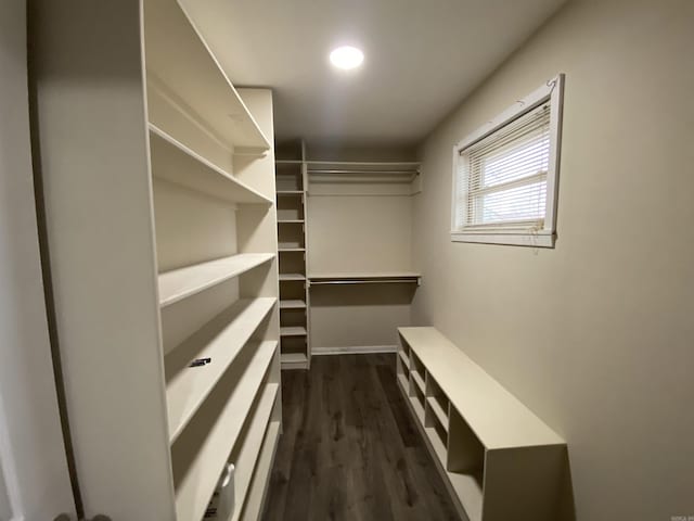 spacious closet with dark hardwood / wood-style flooring