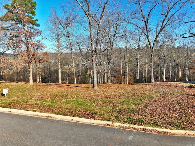 LOT41 Windsong Bay Dr, Hot Springs AR, 71901 land for sale