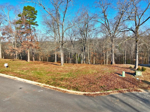 Listing photo 2 for LOT41 Windsong Bay Dr, Hot Springs AR 71901