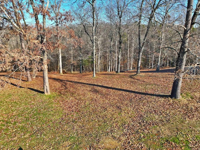 Listing photo 3 for LOT41 Windsong Bay Dr, Hot Springs AR 71901