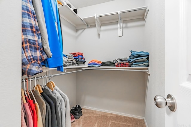 walk in closet featuring carpet floors