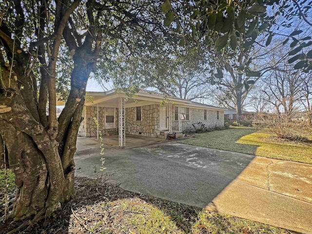 back of house featuring a lawn and a patio