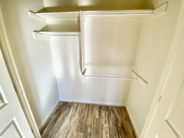 spacious closet featuring wood-type flooring