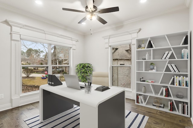 office space featuring ceiling fan, dark hardwood / wood-style flooring, and ornamental molding