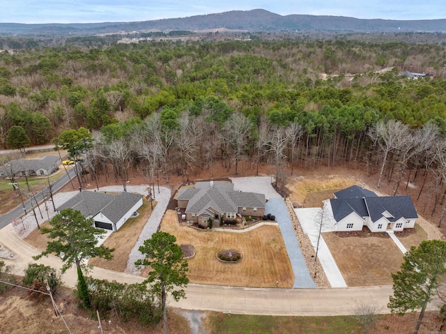 birds eye view of property with a mountain view