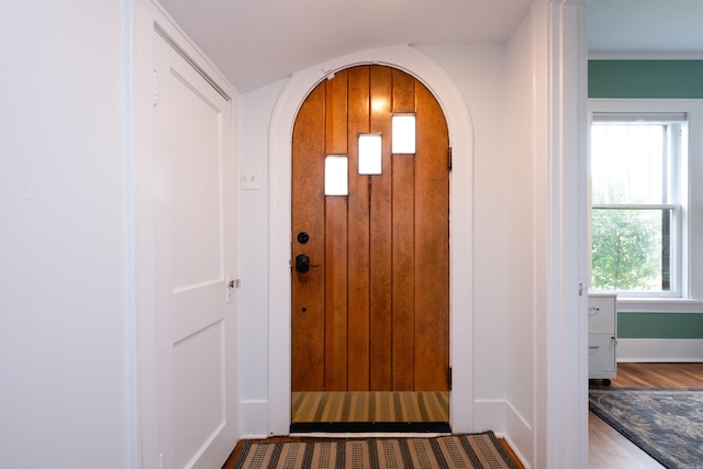 foyer entrance with hardwood / wood-style floors and plenty of natural light