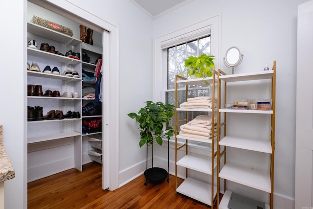 walk in closet featuring dark hardwood / wood-style flooring